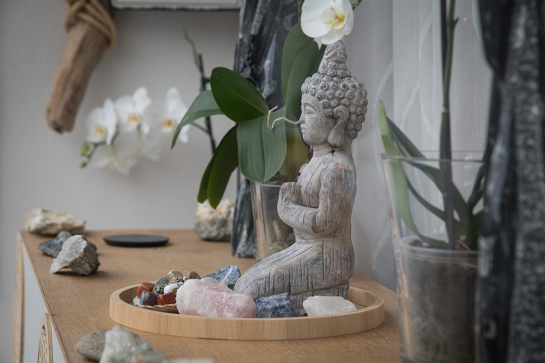 l'atelier papillons