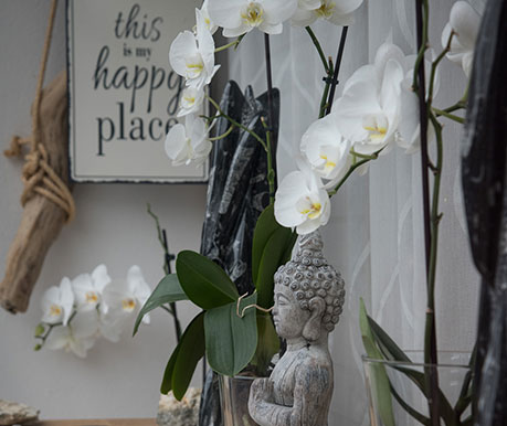L'Atelier Papillons