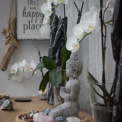 L'atelier Papillons